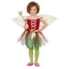 Fantasy Fairy Dress And Wings