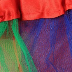 Rainbow Net Tutu Skirt -Dance Direct Store 7268 2