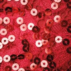 1st Position Sequinned Dress With Zig-Zag Fringed Hem -Dance Direct Store fpc23025 rubyred 6