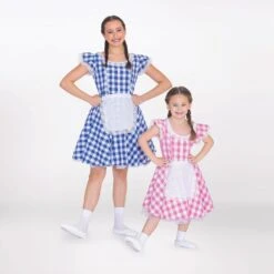 1st Position Gingham Tea Dress With Apron