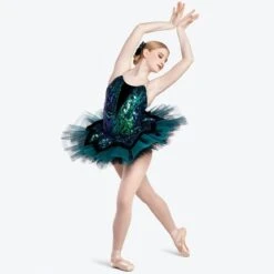 Revolution 'Reverie' Ballet Dance Costume