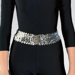 Stretch Sequin Belt -Dance Direct Store w992 slv